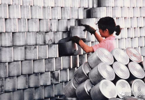 以鏡為筆，成鋁為魂——衡陽攝影家馮建國的鋁材影像詩